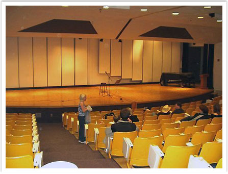 auditorium seating for conference hall