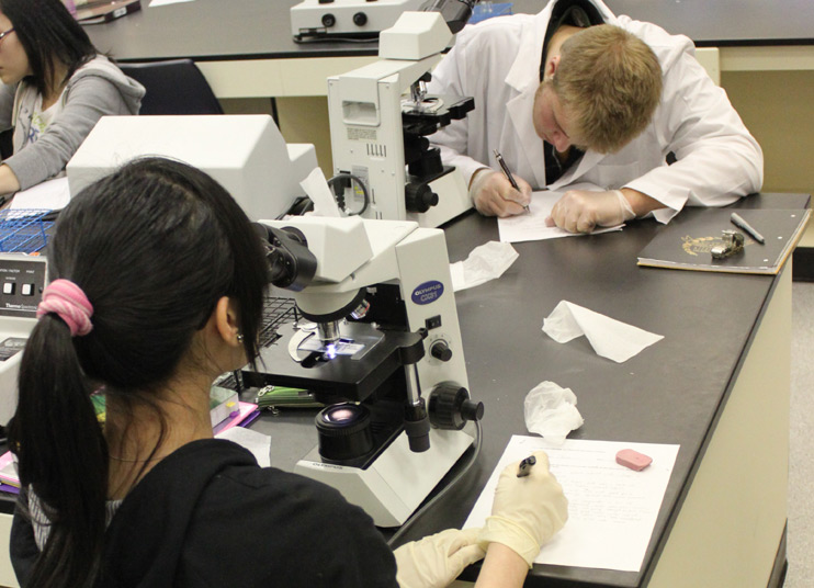 Medical Laboratory Science (MLS) Program At Oregon Tech